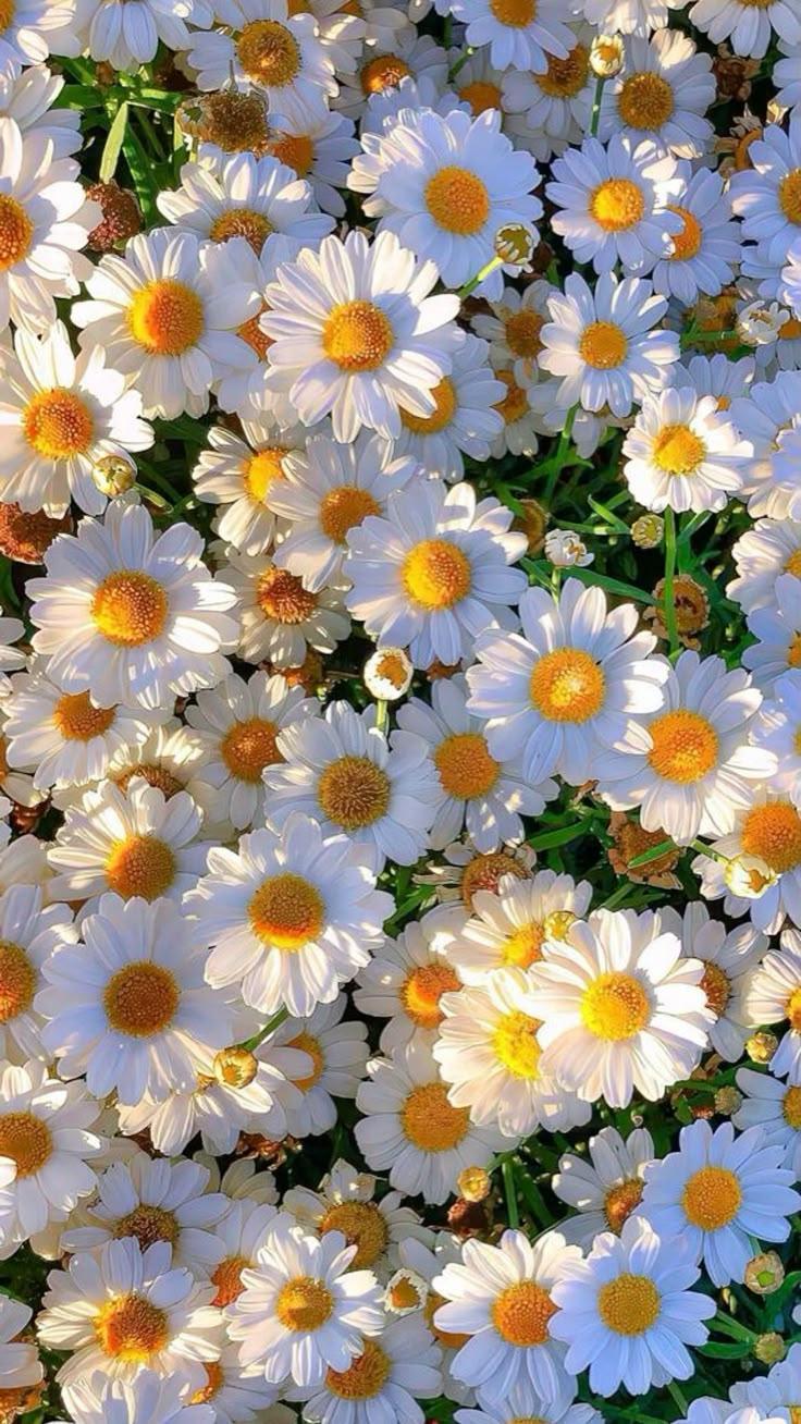 Harbor Crest Paper workshop space where corporate flower arrangements are designed and prepared for business delivery